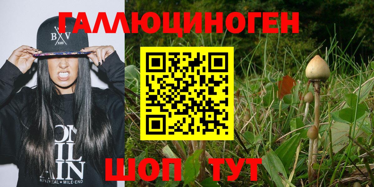 Псилоцибиновые грибы MAGIC MUSHROOMS  наркотики  Семёнов  Галлюциногенные грибы Magic Shrooms  Вход с VPN 